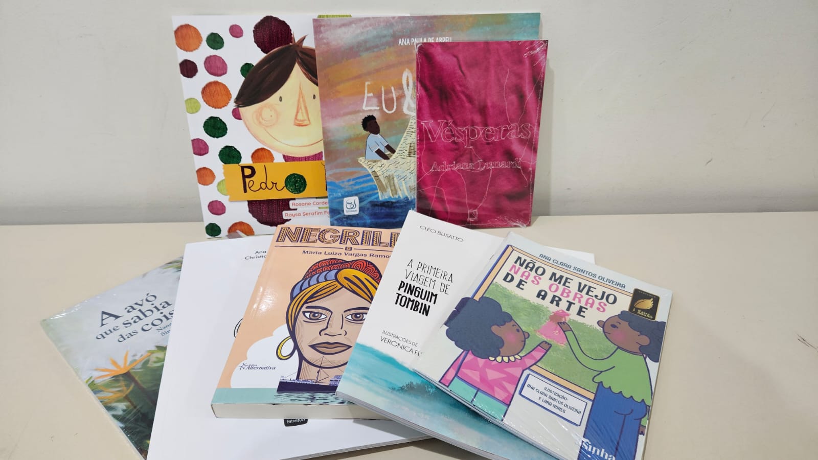 Lages recebe novos livros para Biblioteca Carlos Dorval Macedo por meio da Fundação Catarinense de Cultura