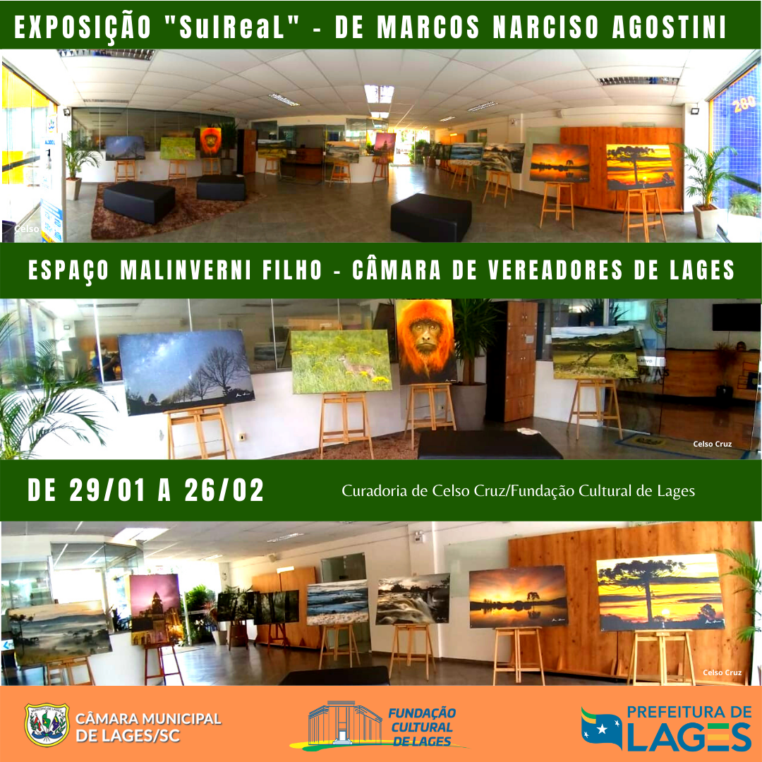 Fundação Cultural de Lages presente na abertura do legislativo