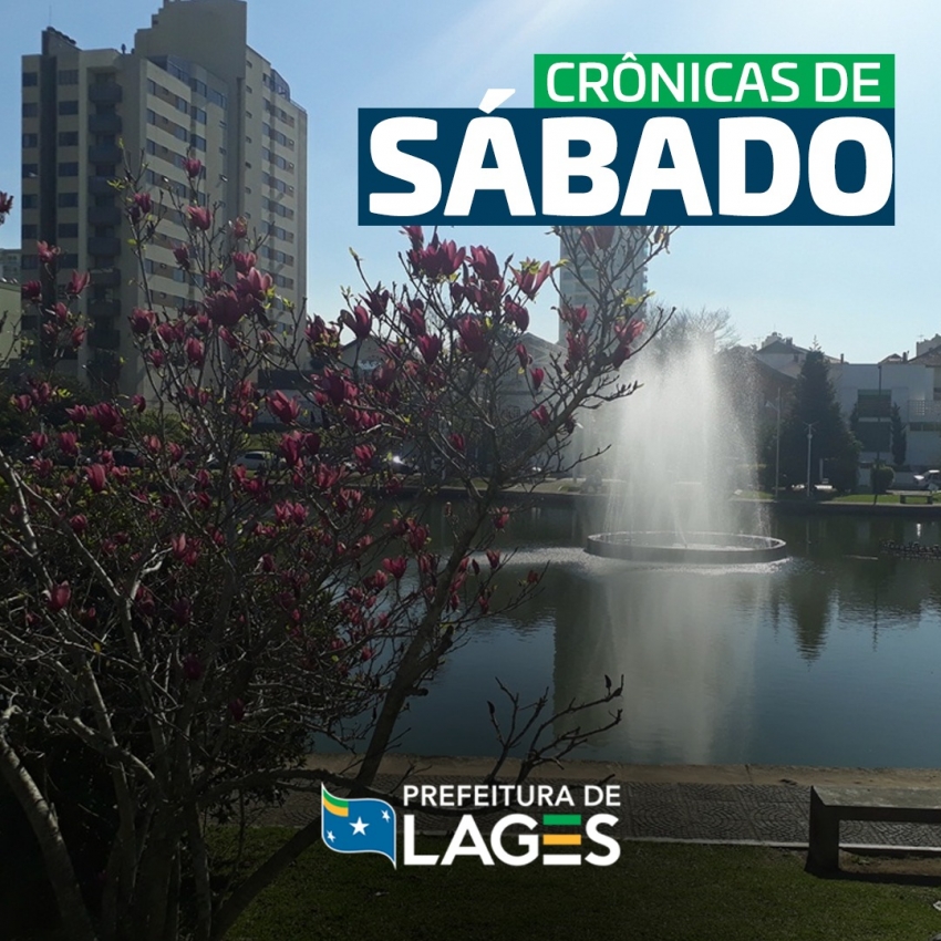 Crônica de Sábado: Miosótis e o Betão da Penha