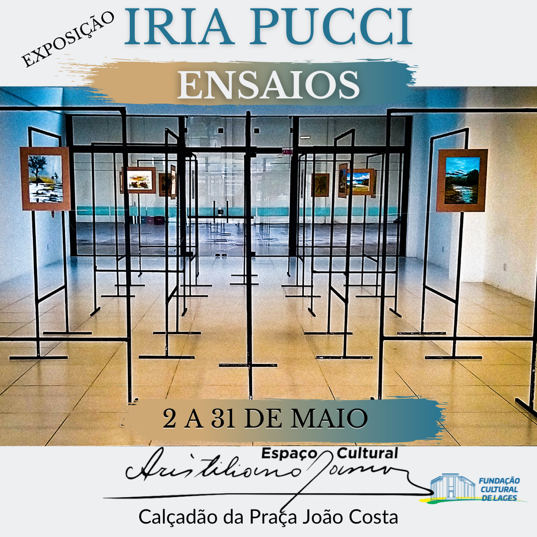 Iria Pucci expõe no Espaço Cultural Aristiliano Ramos no calçadão de Lages