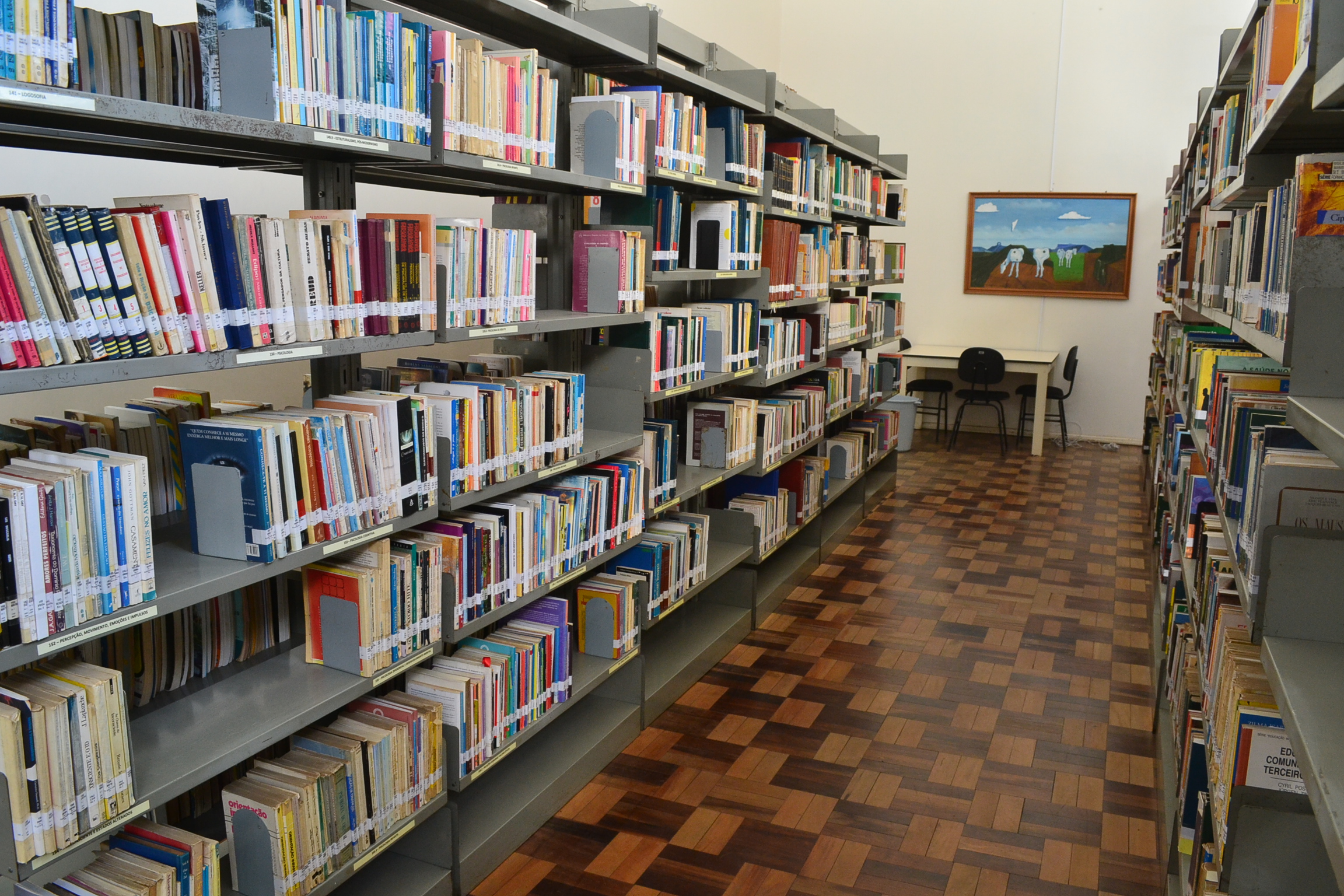 Biblioteca Pública Municipal funciona com atendimentos presenciais e também por whatsapp