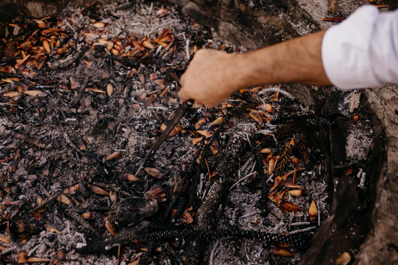 Sapecada do pinhão: O ritual que atravessa gerações